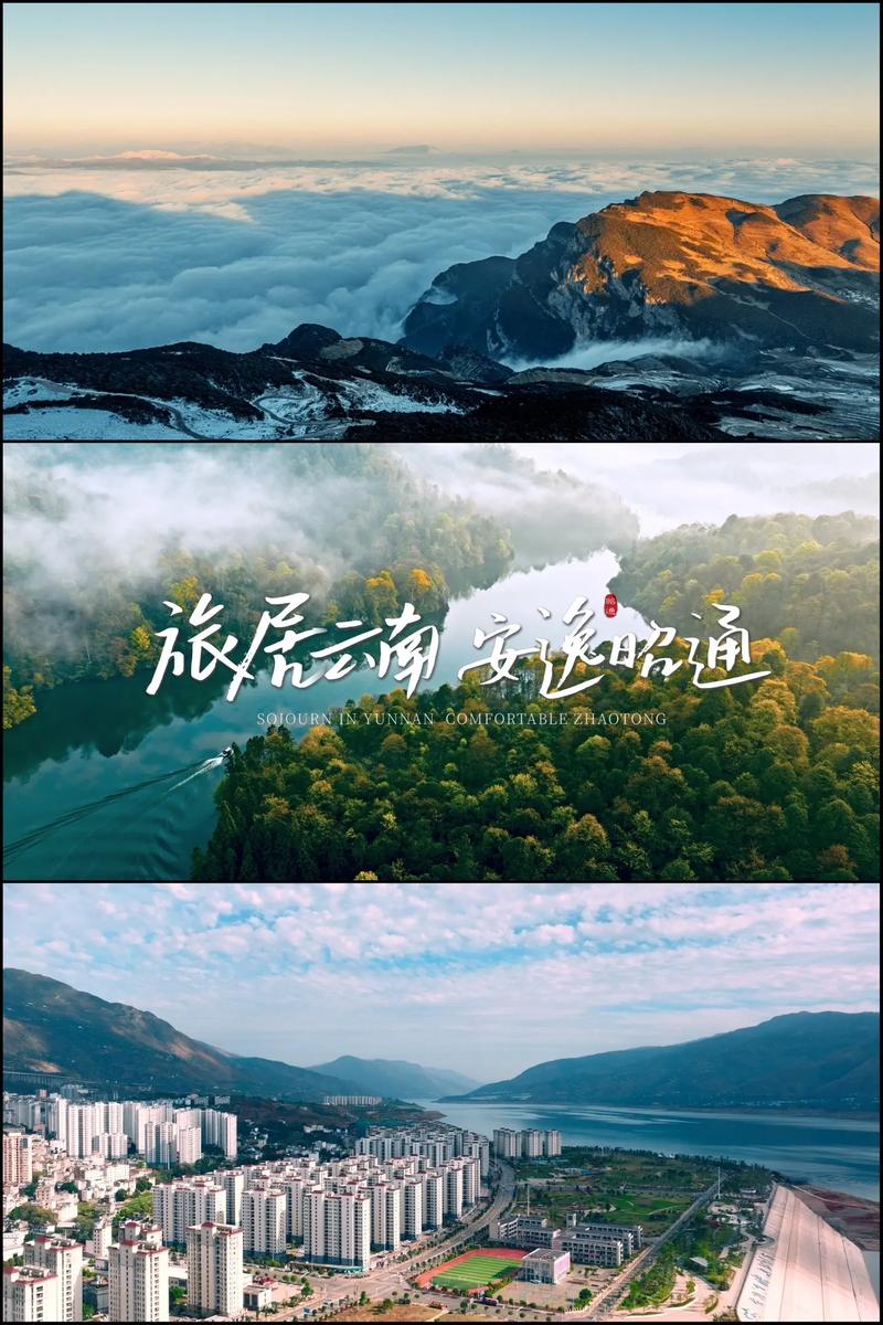 品牌设计